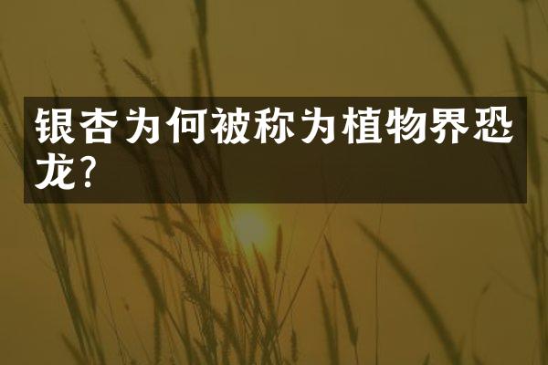 银杏为何被称为植物界恐龙？