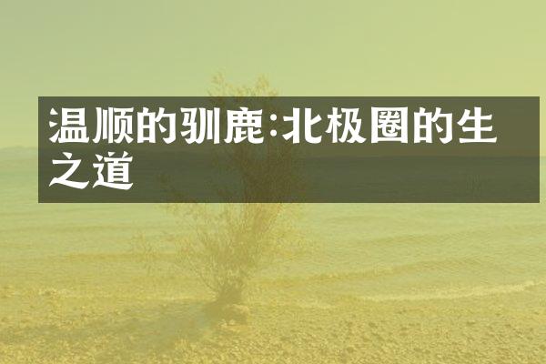 温顺的驯鹿:北极圈的生存之道