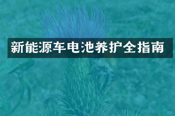 新能源车电池养护全指南