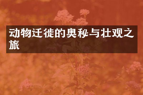 动物迁徙的奥秘与壮观之旅