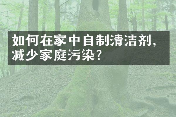 如何在家中自制清洁剂，减少家庭污染？