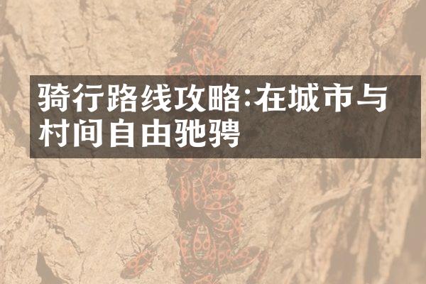 骑行路线攻略:在城市与乡村间自由驰骋