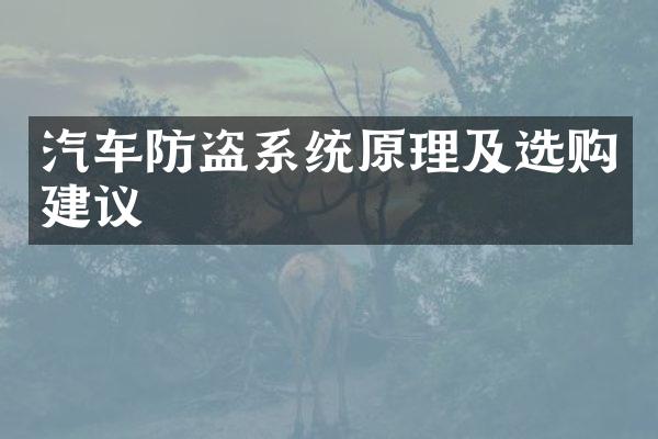 汽车防盗系统原理及选购建议
