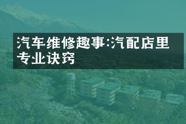 汽车维修趣事:汽配店里的专业诀窍