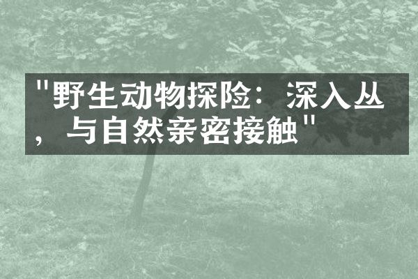 "野生动物探险：深入丛林，与自然亲密接触"
