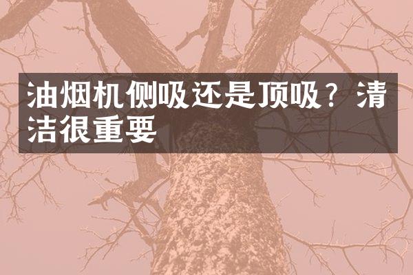 油烟机侧吸还是顶吸？清洁很重要
