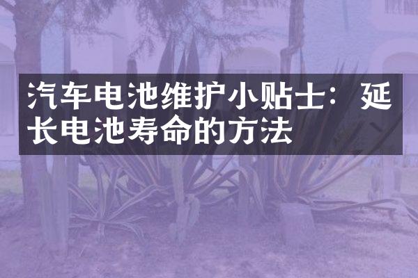 汽车电池维护小贴士：延长电池寿命的方法