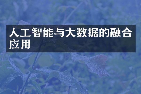 人工智能与大数据的融合应用