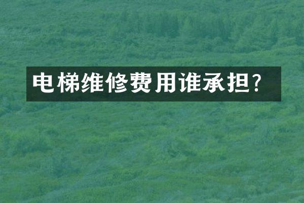电梯维修费用谁承担？
