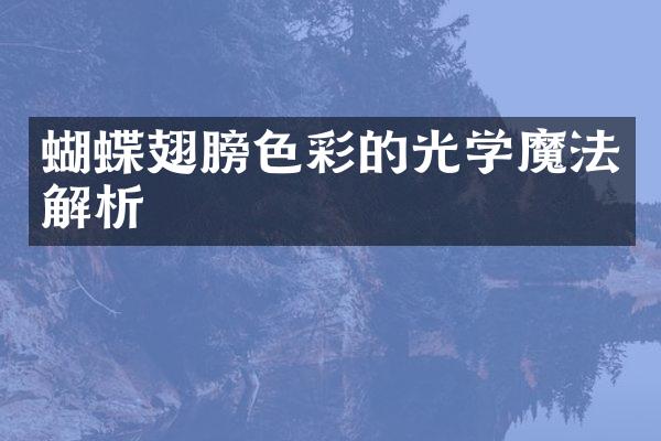 蝴蝶翅膀色彩的光学魔法解析