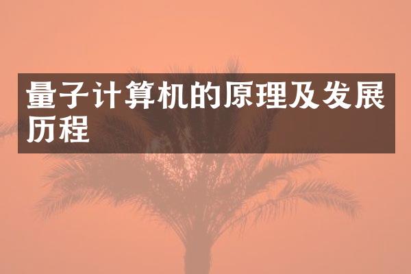 量子计算机的原理及发展历程