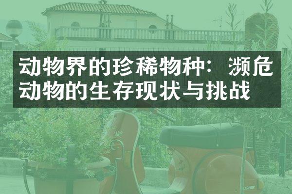 动物界的珍稀物种：濒危动物的生存现状与挑战