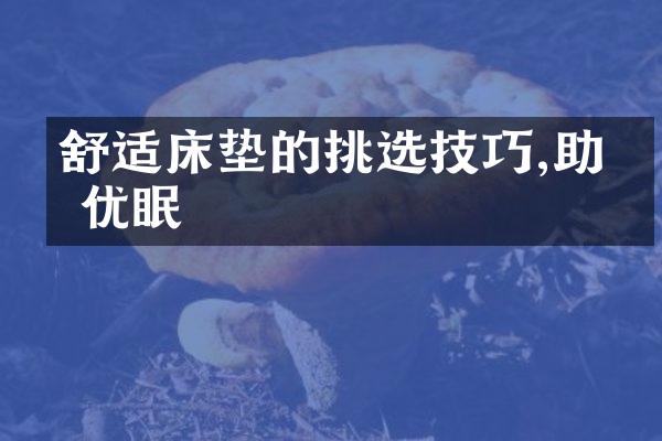舒适床垫的挑选技巧,助你优眠