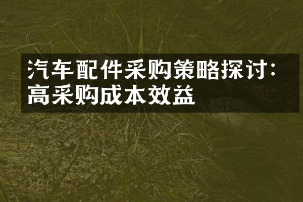 汽车配件采购策略探讨:提高采购成本效益