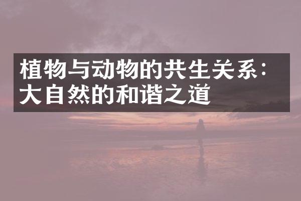 植物与动物的共生关系：大自然的和谐之道