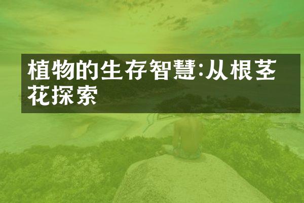 植物的生存智慧:从根茎叶花探索