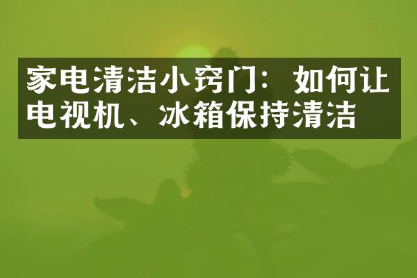 家电清洁小窍门：如何让电视机、冰箱保持清洁？
