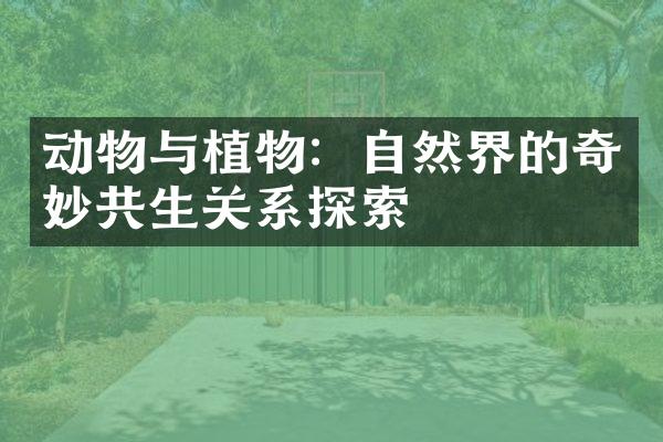 动物与植物：自然界的奇妙共生关系探索