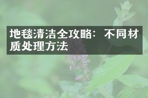 地毯清洁全攻略：不同材质处理方法
