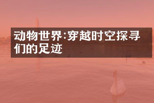动物世界:穿越时空探寻它们的足迹