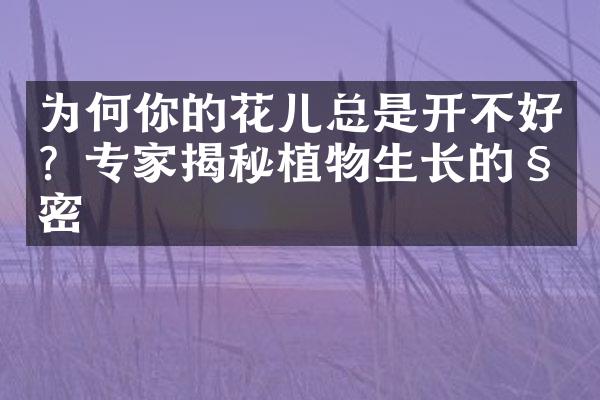 为何你的花儿总是开不好？专家揭秘植物生长的秘密