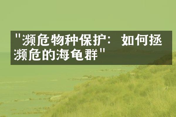 "濒危物种保护：如何拯救濒危的海龟群"