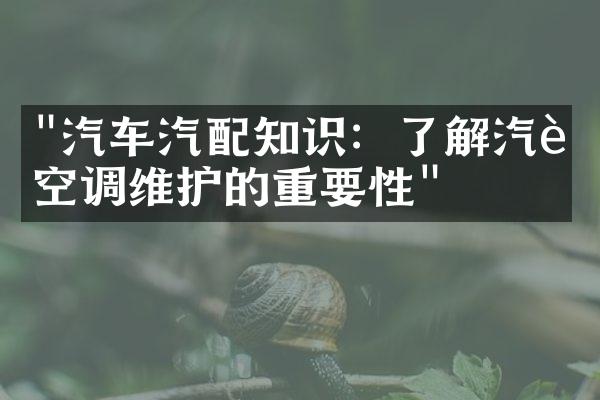 "汽车汽配知识：了解汽车空调维护的重要性"