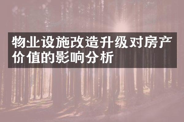 物业设施改造升级对房产价值的影响分析