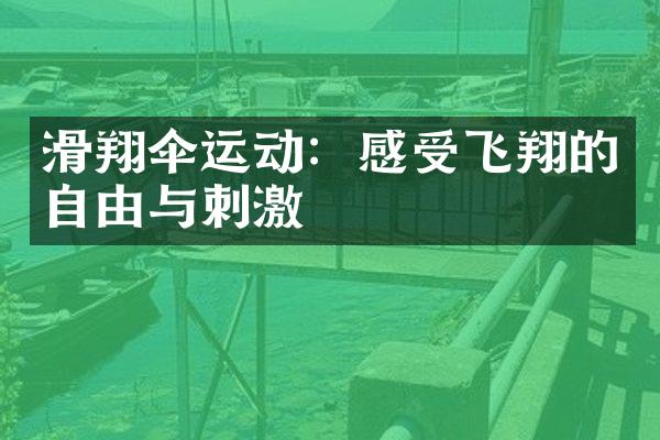 滑翔伞运动：感受飞翔的自由与刺激