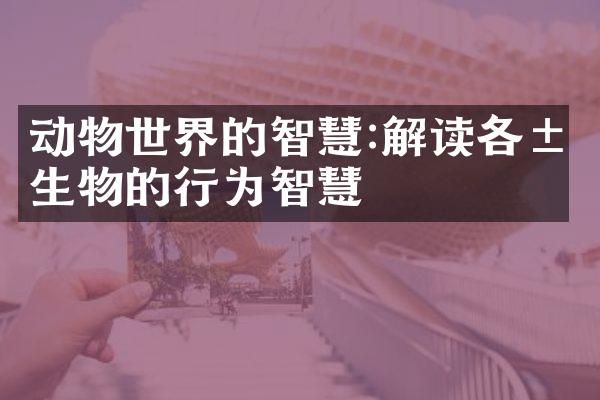 动物世界的智慧:解读各类生物的行为智慧