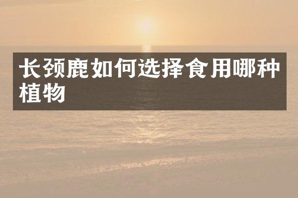 长颈鹿如何选择食用哪种植物
