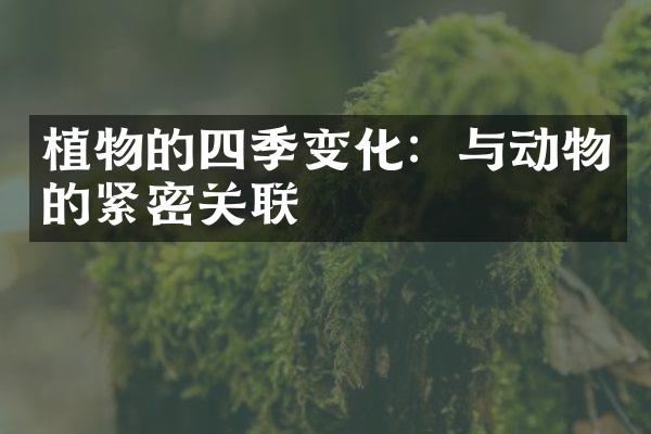 植物的四季变化：与动物的紧密关联