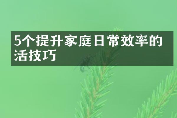 5个提升家庭日常效率的生活技巧