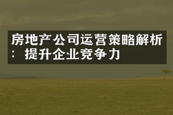 房地产公司运营策略解析：提升企业竞争力