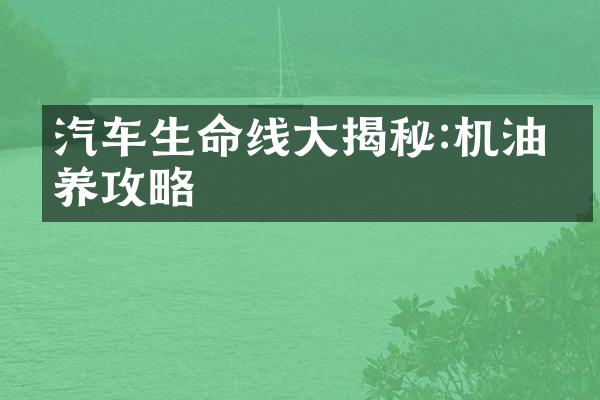 汽车生命线大揭秘:机油保养攻略
