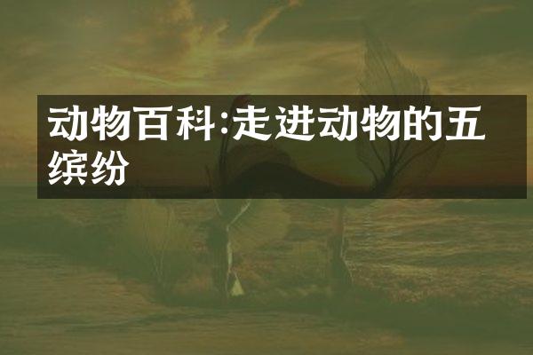 动物百科:走进动物的五彩缤纷