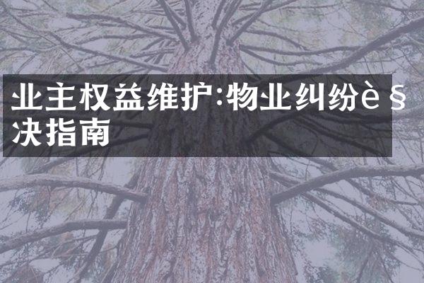 业主权益维护:物业纠纷解决指南
