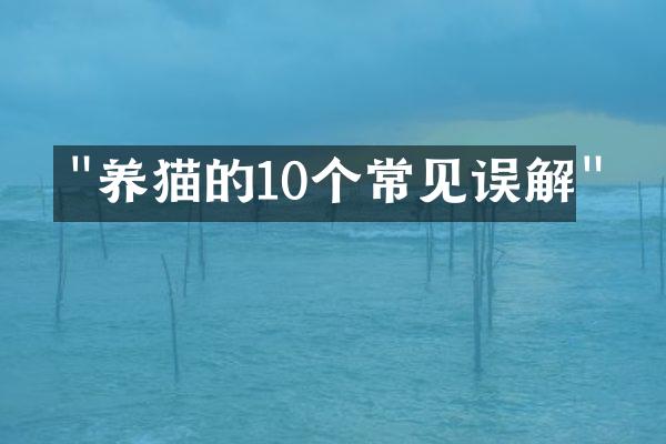 "养猫的10个常见误解"