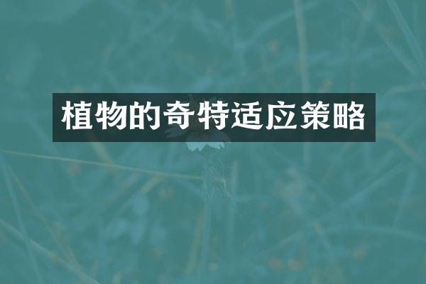植物的奇特适应策略