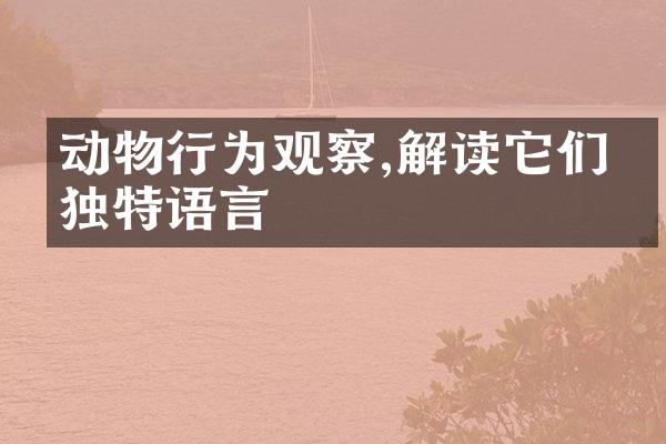 动物行为观察,解读它们的独特语言
