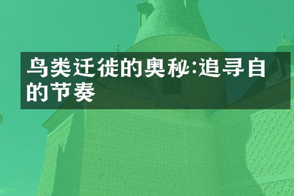 鸟类迁徙的奥秘:追寻自然的节奏