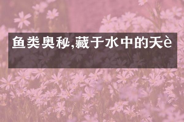 鱼类奥秘,藏于水中的天赋