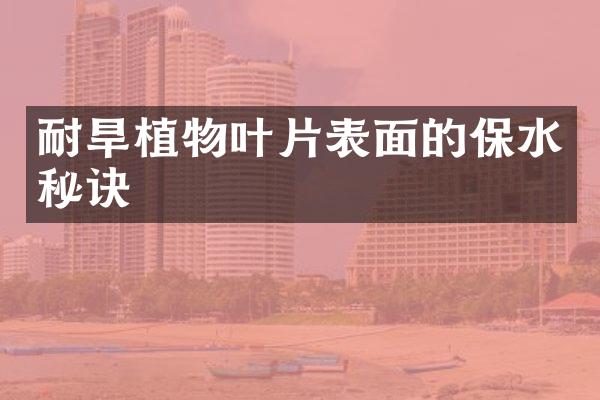 耐旱植物叶片表面的保水秘诀