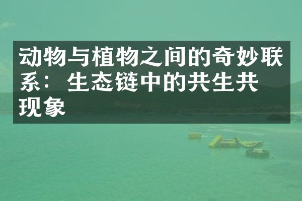 动物与植物之间的奇妙联系：生态链中的共生共存现象