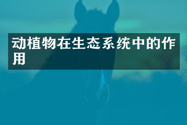 动植物在生态系统中的作用