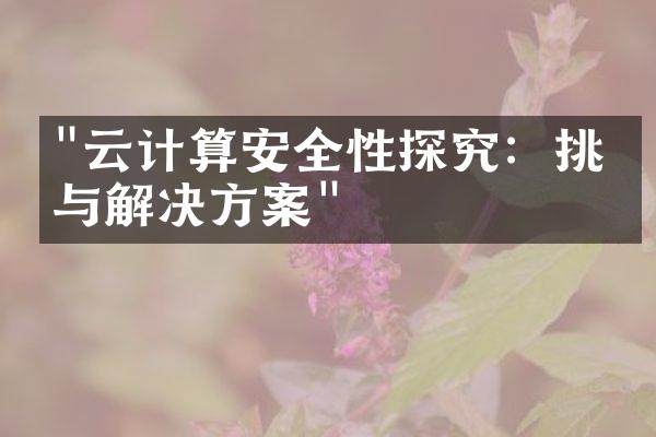 "云计算安全性探究：挑战与解决方案"