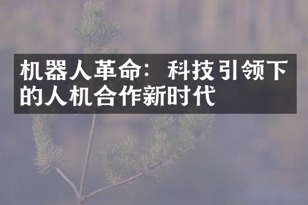 机器人革命：科技引领下的人机合作新时代