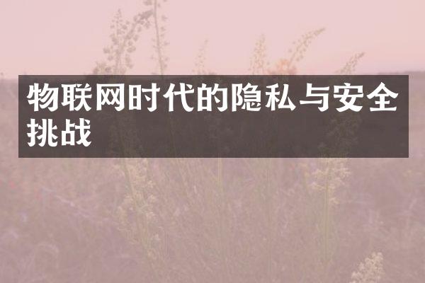 物联网时代的隐私与安全挑战
