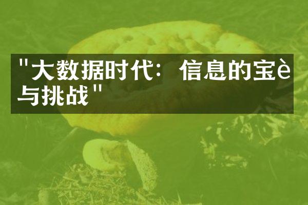 "大数据时代：信息的宝藏与挑战"