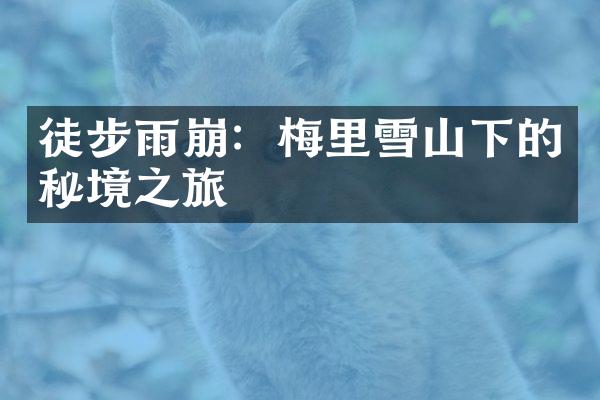 徒步雨崩：梅里雪山下的秘境之旅